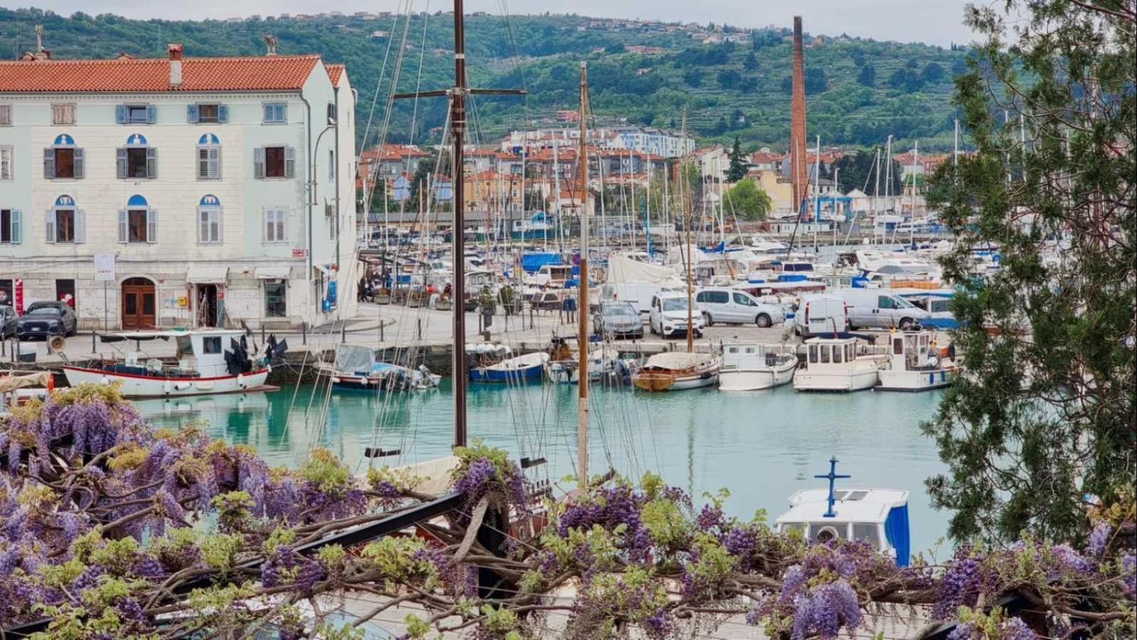 Hotel Marina Izola Extérieur photo